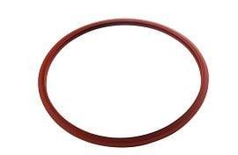 DCI Door Gasket Seal for Pelton & Crane Delta / Validator 10" Dental Autoclave