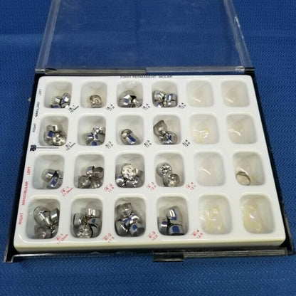 First Permanent Molar Crowns – 77 pieces - Dental Parts Shop