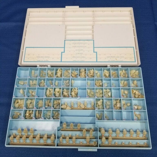Tempres Ormco Polycarbonate Temporary Crowns – 247 pieces - Dental Parts Shop