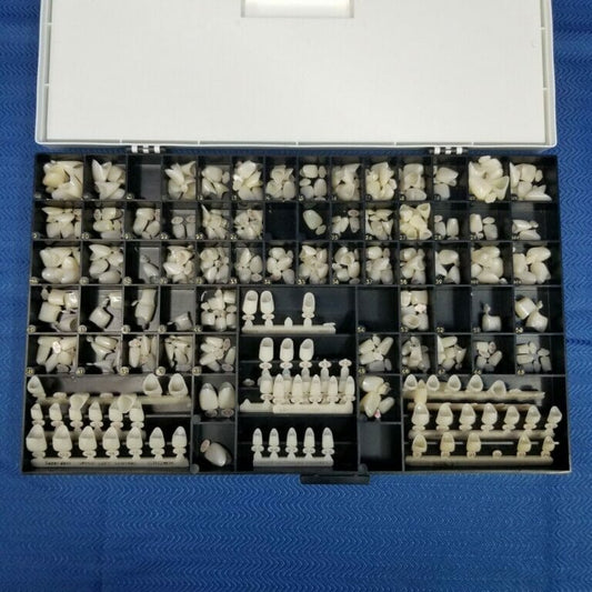 Polycarbonate Temporary Crowns – 300 pieces - Dental Parts Shop