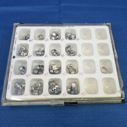First Permanent Molar Crowns – 77 pieces - Dental Parts Shop
