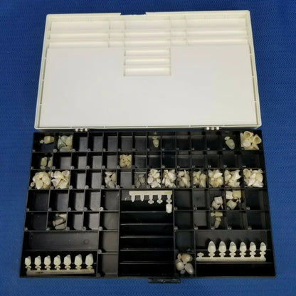 Major Dental Polycarbonate Temporary Crowns 127 pieces - Dental Parts Shop