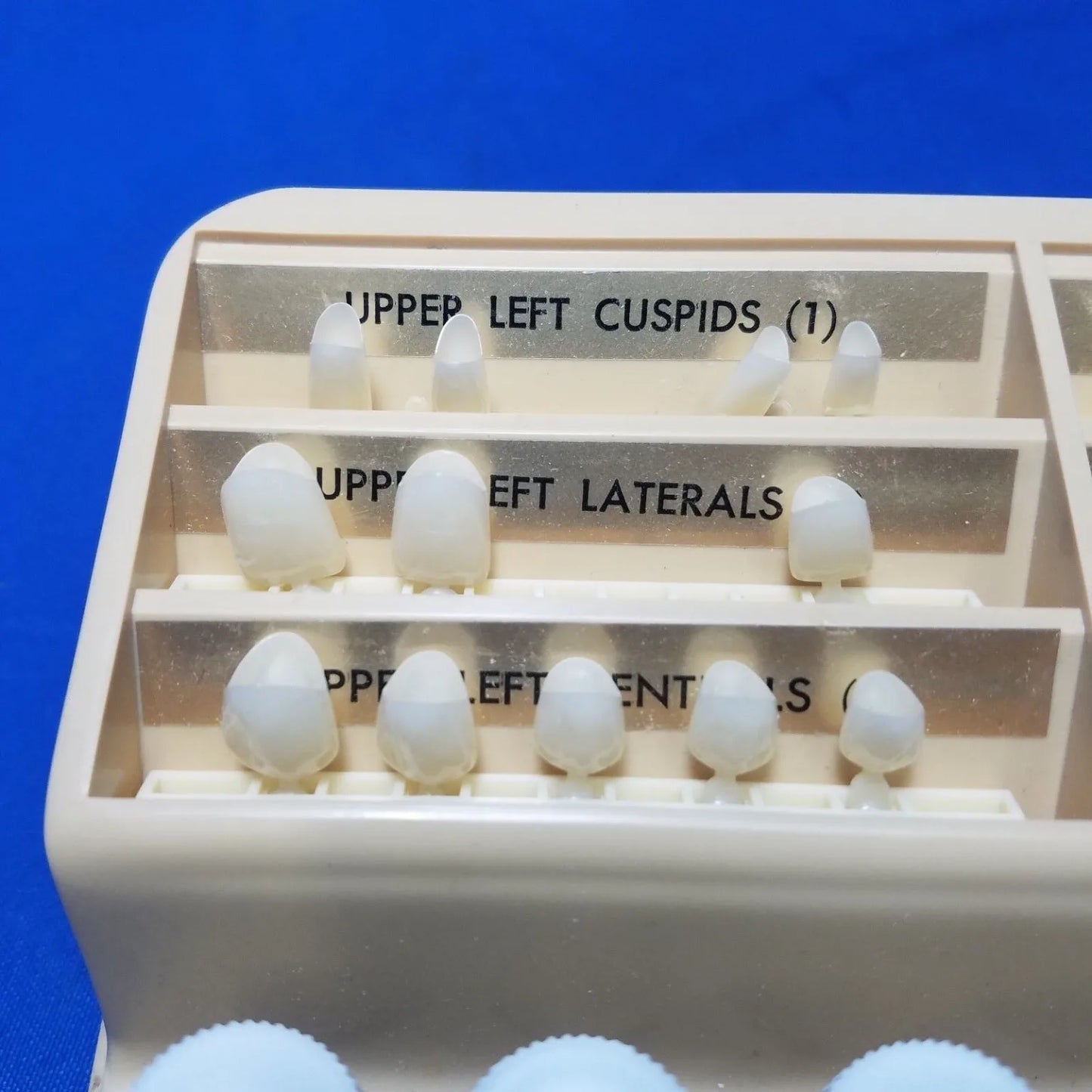 Caulk Tem-Crown Polycarbonate Temporary Crowns Kit - Dental Parts Shop