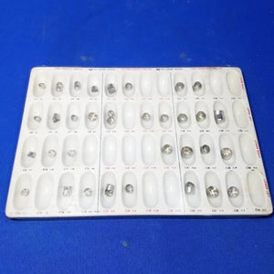 Tru-Chrome Molar Crowns 42 pieces