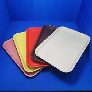 Clive Craig Dental Plastic Instrument Tray 9 3/4″ x 13 1/2″ in Assorted Colors